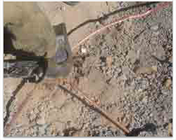 pic-main-2